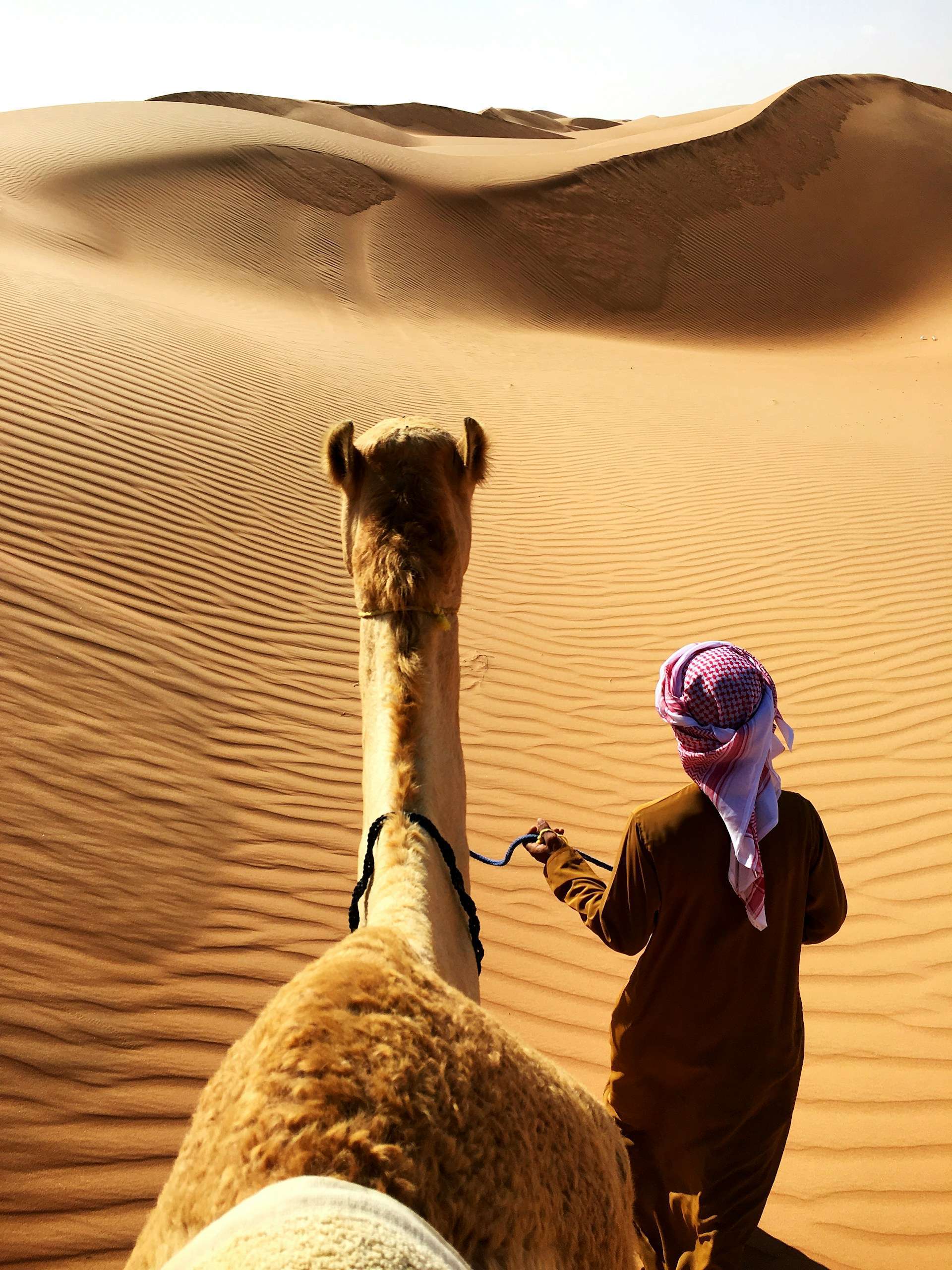 camel-rides-01